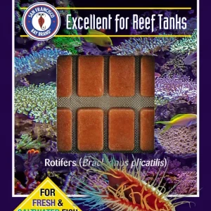 SFBB Rotifer