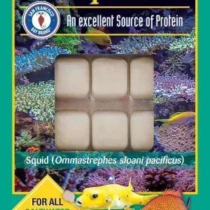 SFBB Squid