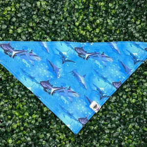 Sharks IRL Bandana