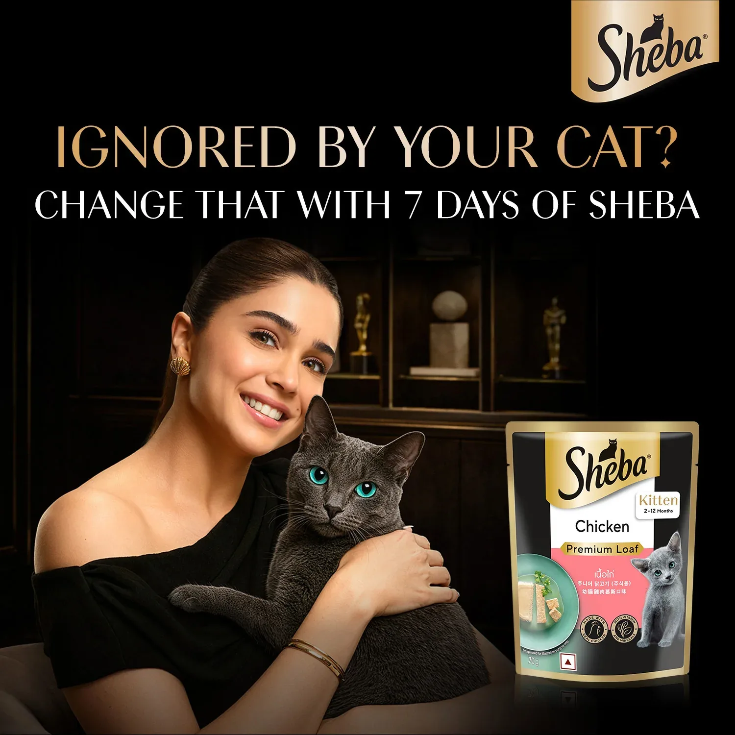 Sheba Chicken Loaf Rich Premium Kitten (2 to 12 Months) Fine Wet Food and Irresistible All Life Stage Cat Dry Food Combo - Image 2