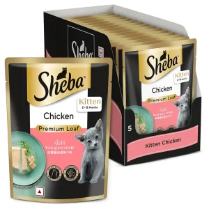 Sheba Chicken Loaf Rich Premium Kitten (2 to 12 Months) Fine Wet Food and Irresistible All Life Stage Cat Dry Food Combo
