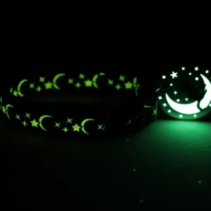 Silver Moons and Stars on Blue Cat Collar