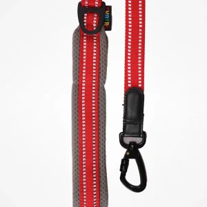 Skatrs Adventure in Style & Comfort Fiery Leash for Dogs and Cats (Red)