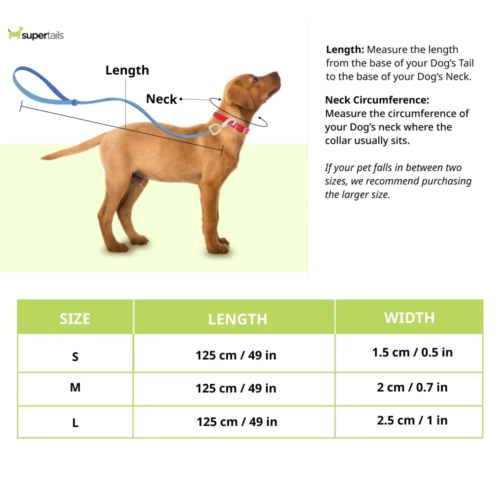 Skatrs Adventure in Style & Comfort Ocean Wave Leash for Dogs and Cats (Blue) - Image 2