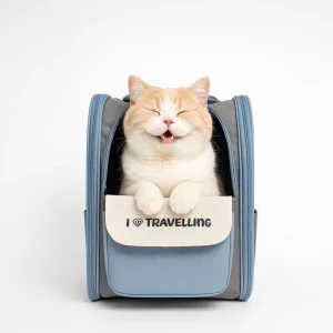 Skatrs Carrier Backpack with Front Pocket for Cats (Grey)