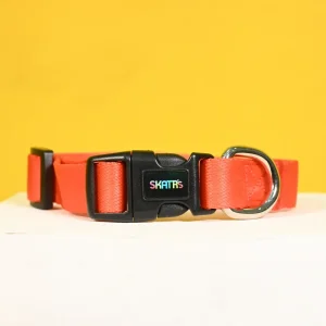 Skatrs Collar for Dogs (Red)