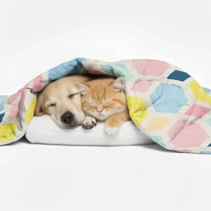Skatrs ColorPop Blanket for Dogs & Cats