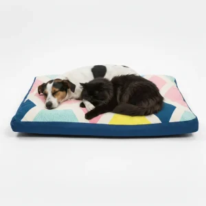 Skatrs ColorPop Flat Bed for Dogs & Cats