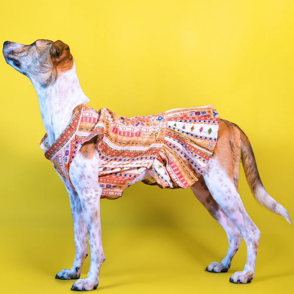 Skatrs Cotton Printed Dress for Dogs and Cats (White)