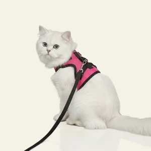 Skatrs Harness with Leash for Cats (Pink)