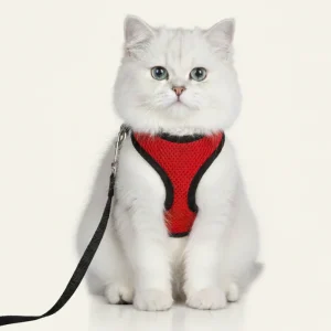 Skatrs Harness with Leash for Cats (Red)