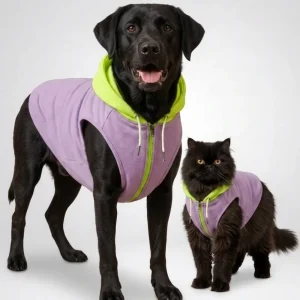 Skatrs Lilac Pop In-Style Hoodie For Dogs and Cats(Lilac & Neon Green)