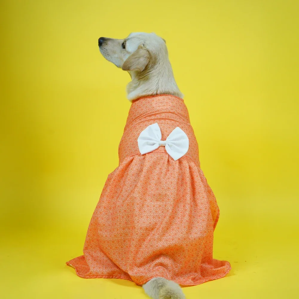 Skatrs Marigold Mandala Printed Dress for Dogs and Cats (Orange)
