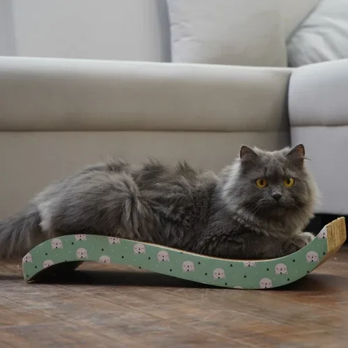 Skatrs Satisfying Wave Cat Scratcher with 2g Premium Catnip Free (Length 51cm)