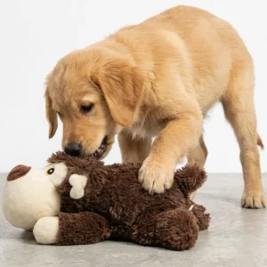 Skatrs Soft Bear Plush Snuggle Toy for Dogs