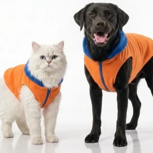 Skatrs Sunset Splash In-Style Hoodie For Dogs and Cats (Orange & Blue)