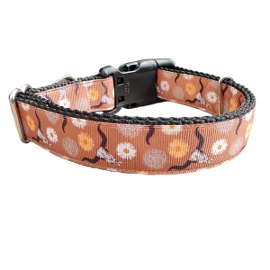 Skulls and Tumbleweeds Cowboy Nylon Dog Collar