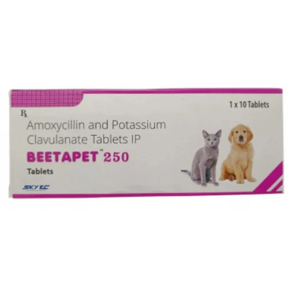 Skyec Beetapet Tablet 250mg (Amoxycillin & Potassium Clavulanate) for Dogs and Cats