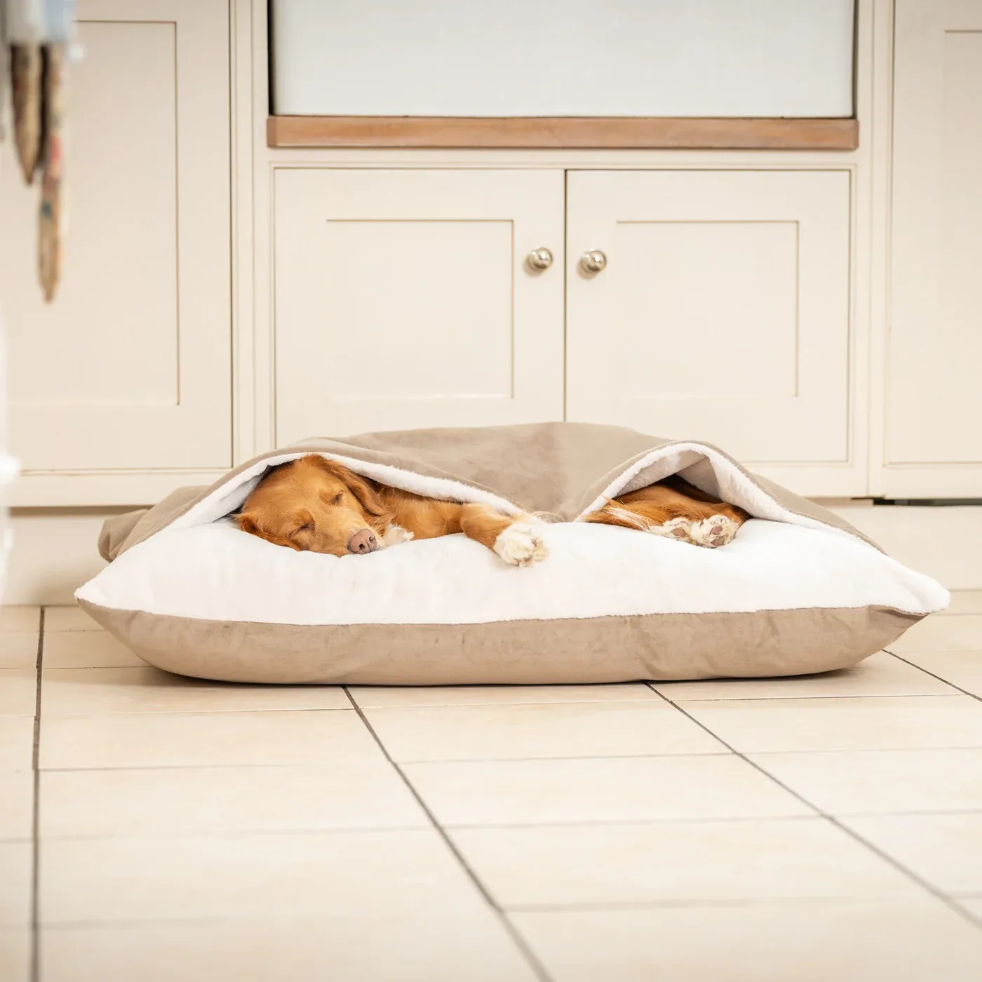 Sleepy Burrows Bed With Removable Cover In Clay Velvet by Lords & Labradors