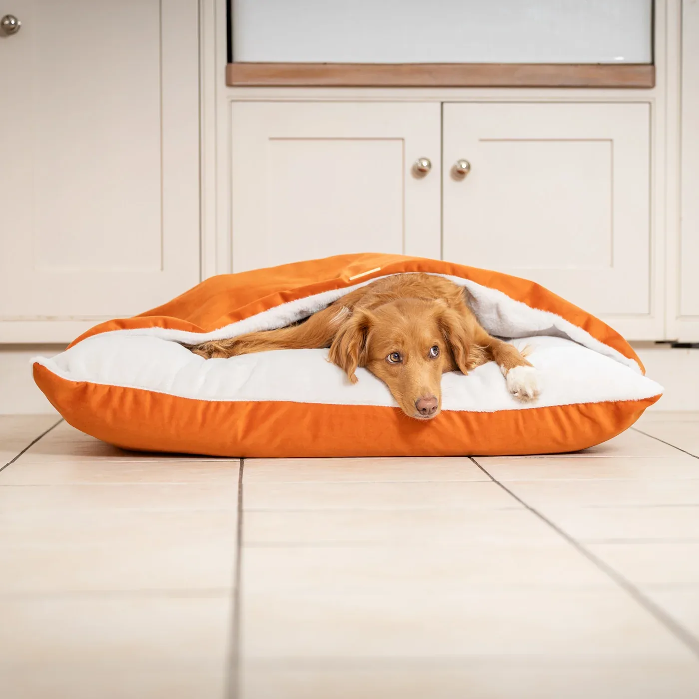 Sleepy Burrows Bed With Removable Cover In Pumpkin Velvet by Lords & Labradors