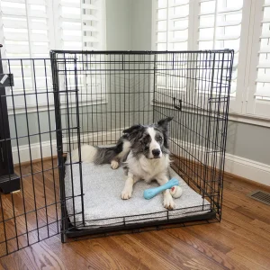 Snoozer Forgiveness Crate Pad | Show Dog | 9 Colors