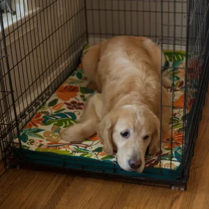 Snoozer Forgiveness Crate Pad | Washable Mattress
