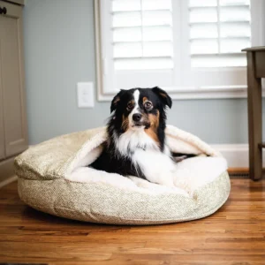 Snoozer Luxury Orthopedic Cozy Cave?« Dog Bed | Show Dog