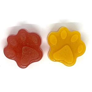 SodaPup Dog Toys - Dogtastic Jelly Shots Silicone Mold