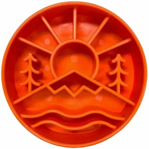 SodaPup eBowl Enrichment Slow-Feeder Bowl