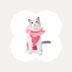Soft Cotton Post-Surgery Cat Recovery Suit