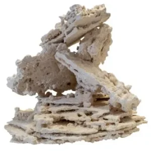 South Seas Premium Shelf Rock