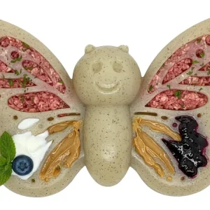 SP Butterfly Chew and Enrichment Dog Toy