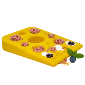 SP Swiss Cheese Wedge Durable Nylon Dog Chew Toy for Aggressive Chewers