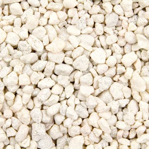 SPECIAL WHITE