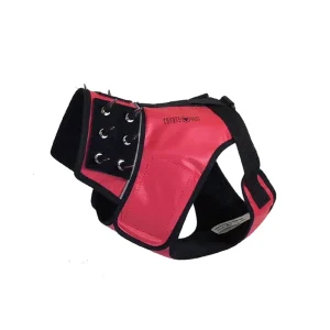 SpikeHarness