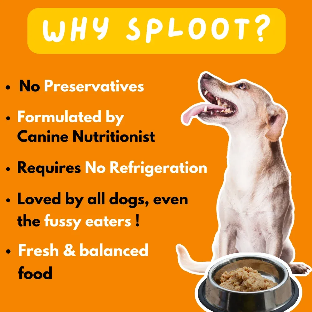 Sploot Meals Millet O Fish Dog Wet Food - Image 2