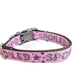 Spoiled Nylon Dog Collar