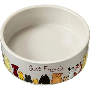 Spot Best Friends Dog Dish, 5 in