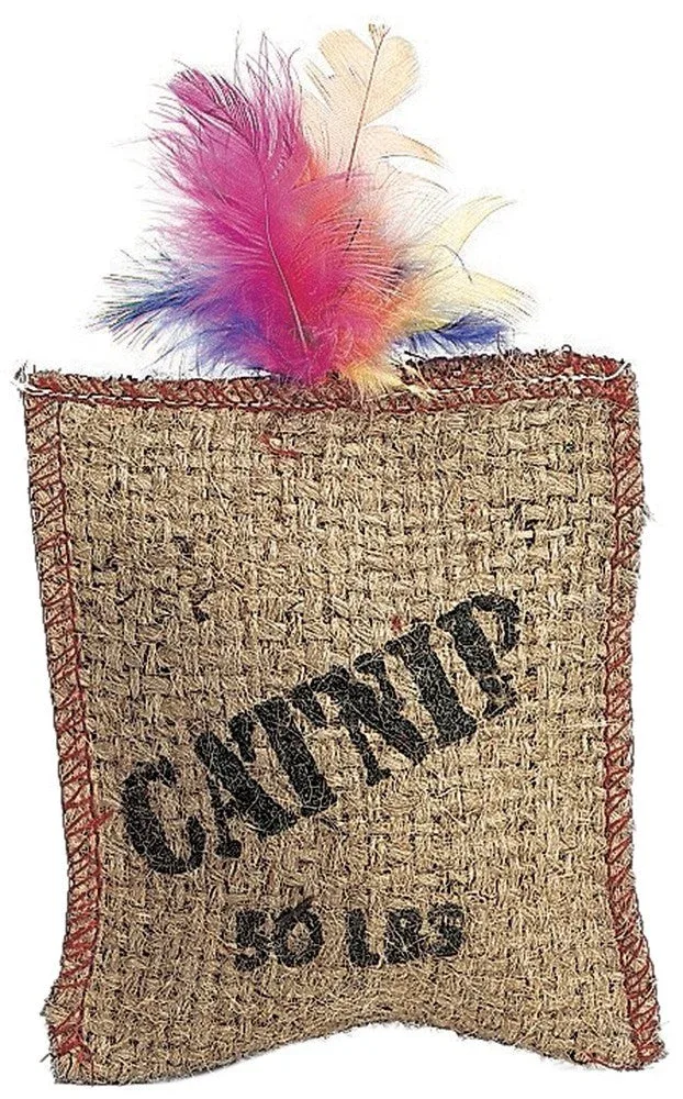 Spot Jute and Feather Sack Cat Toy with Catnip, Brown, 7 in