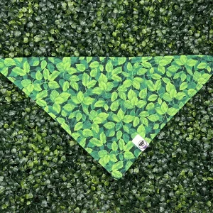 Spring Dog and Cat Bandana Ivy Leaves