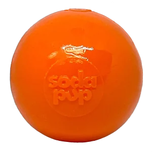 Squeak Ball - Durable Squeaky Dog Toy, Floats, Chew Toy