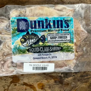 SQUID WHOLE