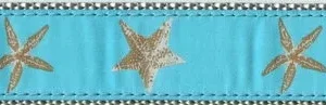 Starfish -- Aqua