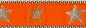Starfish -- Orange