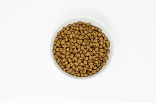 Stella & Chewy's Essentials Wild Mountain Grain-Free Lamb Dry Dog Food - 3 lbs - Image 2