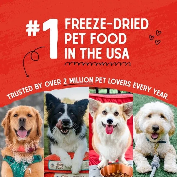 Stella & Chewy's Mixers Beef Freeze-Dried Dog Food - 3.5 Oz - Image 2