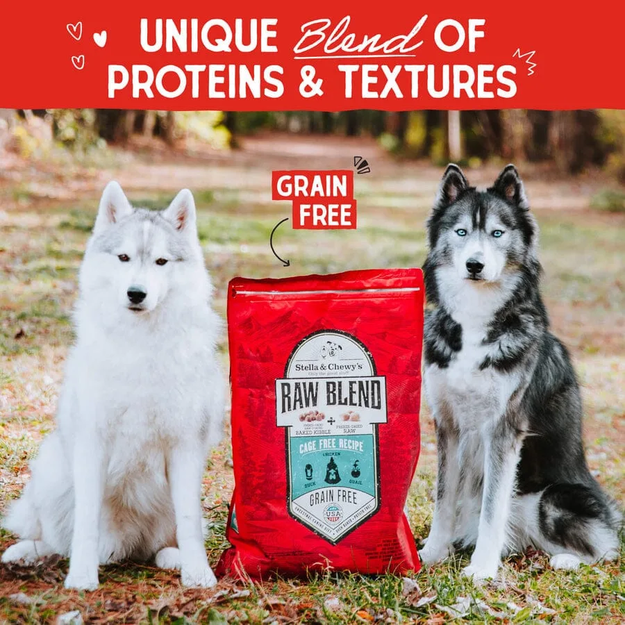 Stella & Chewy's Raw Blend Cage-Free Dry Dog Food - 10 lbs - Image 2