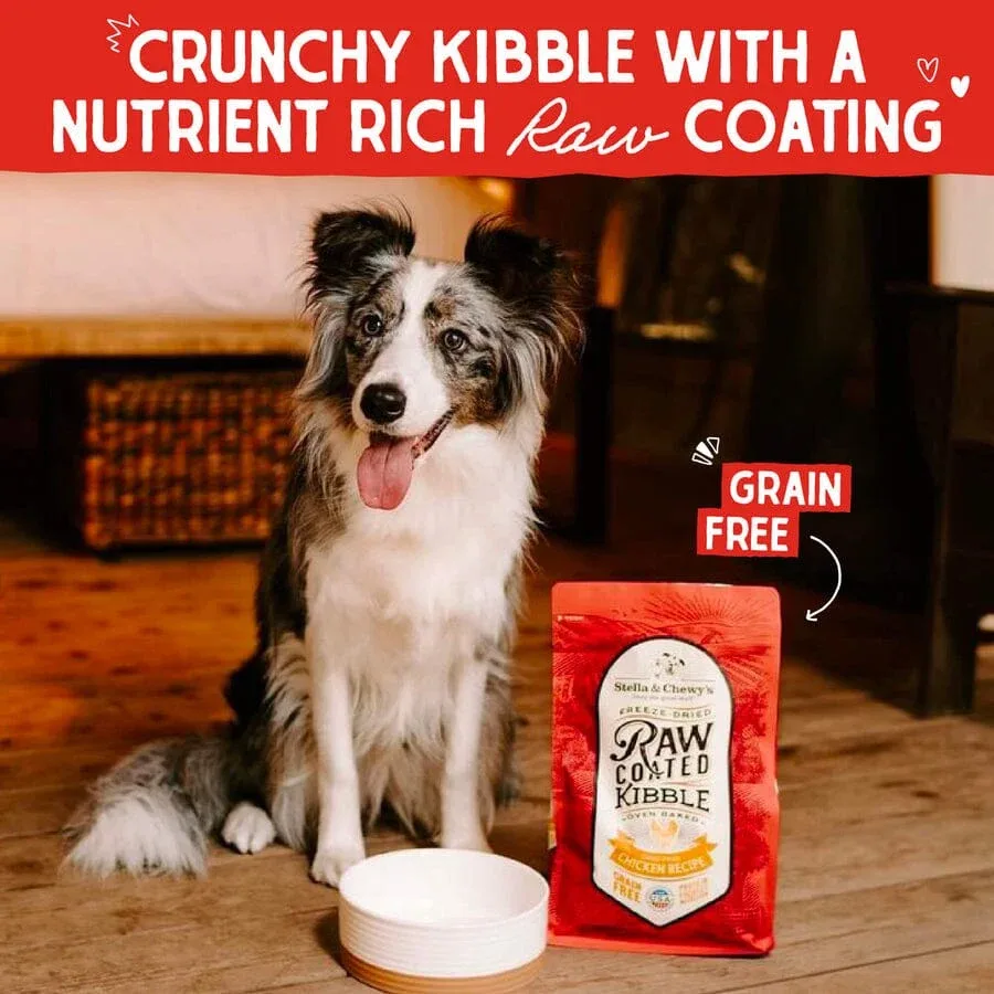 Stella & Chewy's Raw Coated Chicken Dry Dog Food - 10 lbs - Image 2
