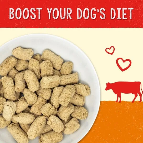 Stella & Chewy's Solutions Digestive Boost Beef Freeze-Dried Dog Food - 13 Oz - Image 2