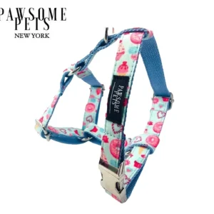 Step-in Dog Harness, Donut